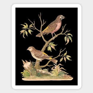 Pair of Birds Vintage Nature Illustration Magnet